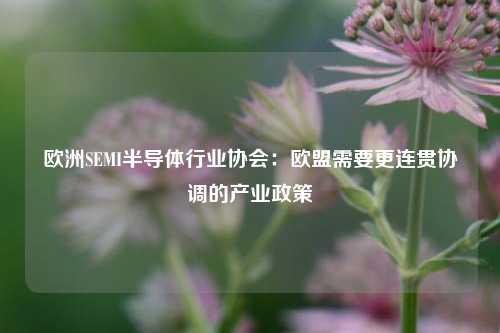 欧洲SEMI半导体行业协会：欧盟需要更连贯协调的产业政策