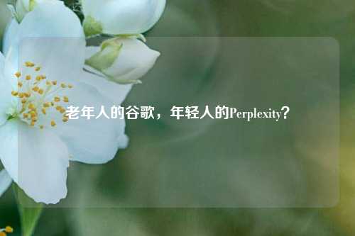 老年人的谷歌，年轻人的Perplexity？