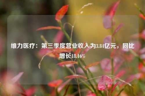 维力医疗：第三季度营业收入为3.84亿元，同比增长18.16%