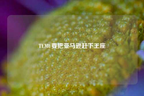 TEMU要把亚马逊赶下王座