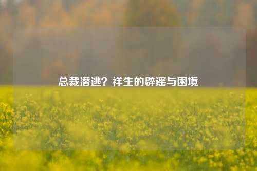 总裁潜逃？祥生的辟谣与困境