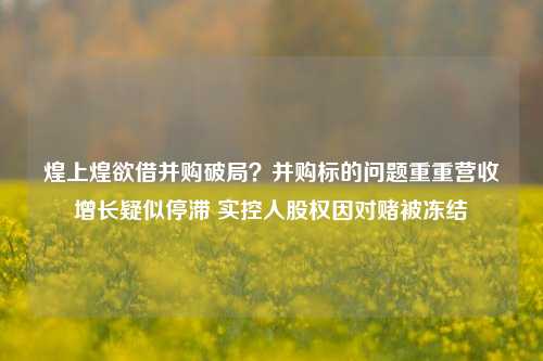 煌上煌欲借并购破局？并购标的问题重重营收增长疑似停滞 实控人股权因对赌被冻结