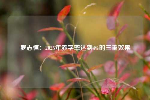 罗志恒：2025年赤字率达到4%的三重效果