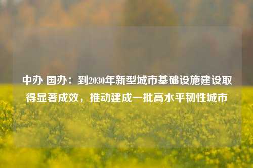 中办 国办：到2030年新型城市基础设施建设取得显著成效，推动建成一批高水平韧性城市