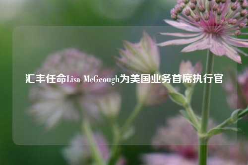 汇丰任命Lisa McGeough为美国业务首席执行官