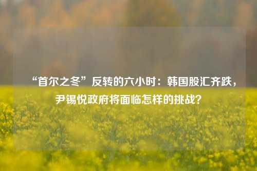 “首尔之冬”反转的六小时：韩国股汇齐跌，尹锡悦政府将面临怎样的挑战？