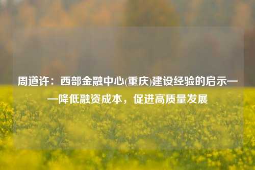 周道许：西部金融中心(重庆)建设经验的启示——降低融资成本，促进高质量发展