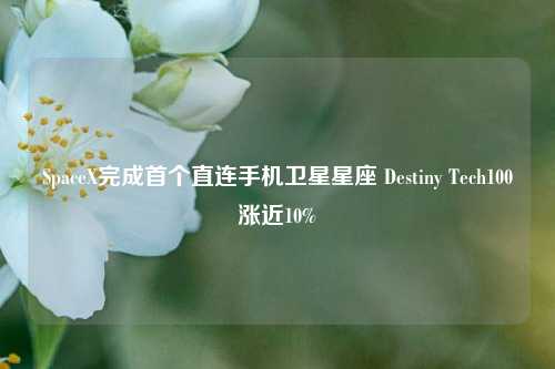 SpaceX完成首个直连手机卫星星座 Destiny Tech100涨近10%