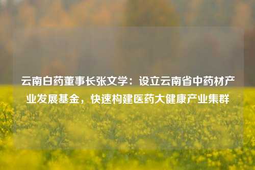 云南白药董事长张文学：设立云南省中药材产业发展基金，快速构建医药大健康产业集群