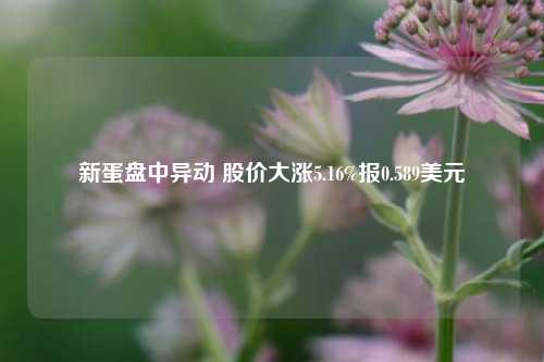 新蛋盘中异动 股价大涨5.16%报0.589美元