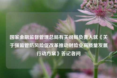 国家金融监督管理总局有关司局负责人就《关于强监管防风险促改革推动财险业高质量发展行动方案》答记者问