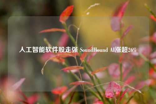 人工智能软件股走强 SoundHound AI涨超26%