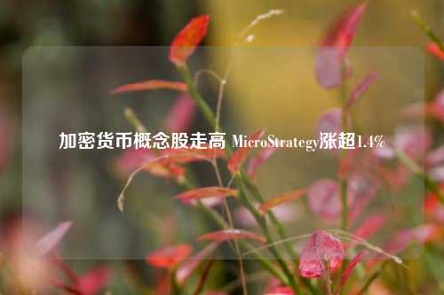 加密货币概念股走高 MicroStrategy涨超1.4%