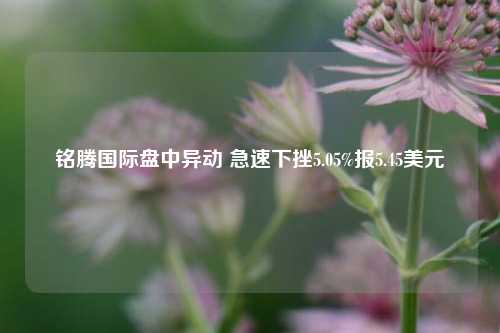 铭腾国际盘中异动 急速下挫5.05%报5.45美元