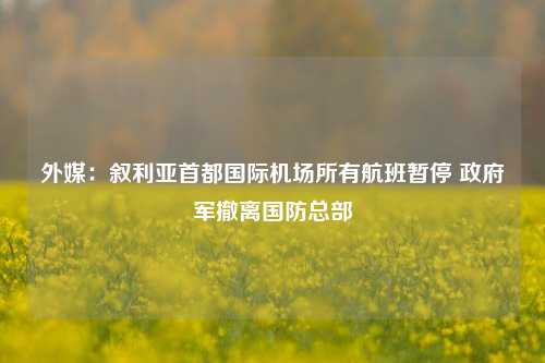 外媒：叙利亚首都国际机场所有航班暂停 政府军撤离国防总部