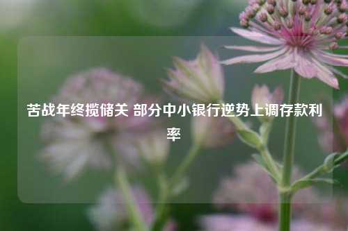 苦战年终揽储关 部分中小银行逆势上调存款利率