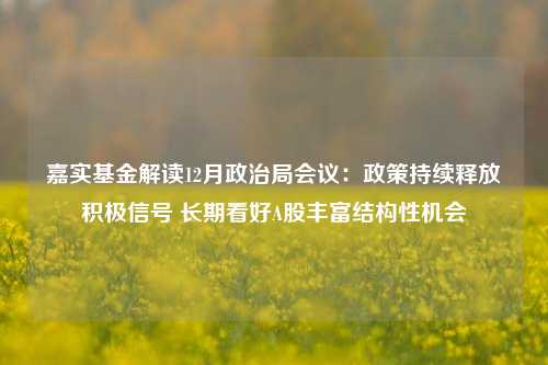 嘉实基金解读12月政治局会议：政策持续释放积极信号 长期看好A股丰富结构性机会