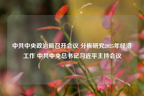 中共中央政治局召开会议 分析研究2025年经济工作 中共中央总书记习近平主持会议