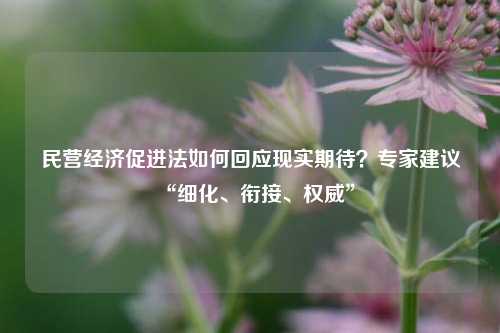 民营经济促进法如何回应现实期待？专家建议“细化、衔接、权威”