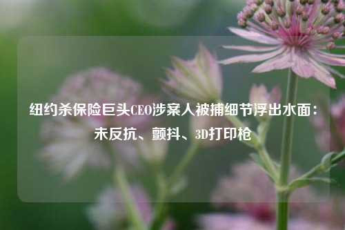 纽约杀保险巨头CEO涉案人被捕细节浮出水面：未反抗、颤抖、3D打印枪