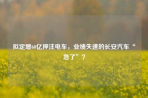 拟定增60亿押注电车，业绩失速的长安汽车“急了”？