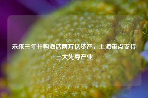 未来三年并购激活两万亿资产，上海重点支持三大先导产业