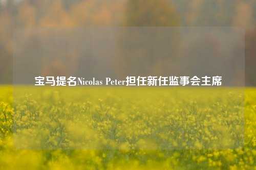 宝马提名Nicolas Peter担任新任监事会主席